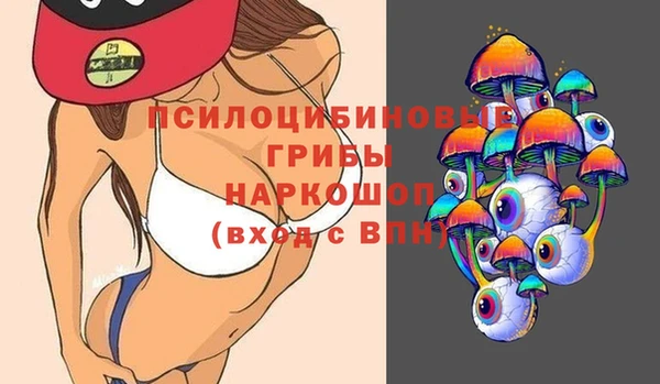 стафф Богородицк